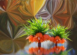 Flower The Background Water