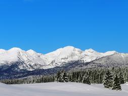 Snow Mountain Winter