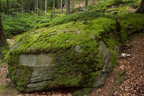 Nature Landscape Stone At The