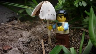 Nature Outdoors Small