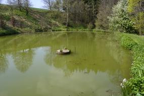 Waters River Reflection