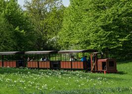 Wood Railway Parking Orbit in Forest