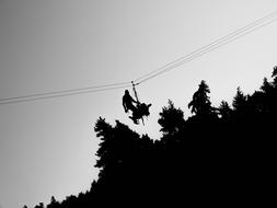 Rock Climbing Forest