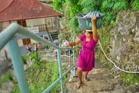 Nature Outdoor Summer