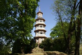 Tree Tower Park