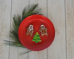 funny gingerbread on a plate