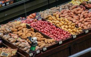 fresh vegetables on display