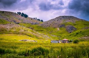 Lonely House Farm Meadow
