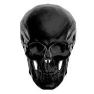 3d model of the shiny, black skull, at white background, clipart