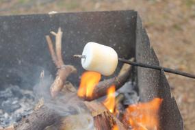 roasted marshmallows on a campfire