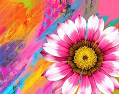 Summer Flower Blossom