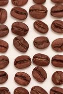 Coffee roasted beans on a white background