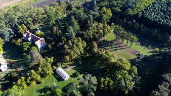 beautiful forest view from above