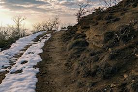 snow trail near the field
