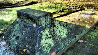 Nature Animal World In The Free