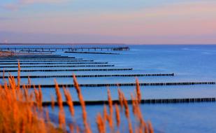 Waters Sea Reflection