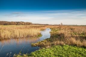 River Auen Landscape