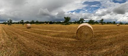 Rural Area Field Nature