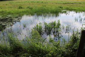 Water Reflection Nature