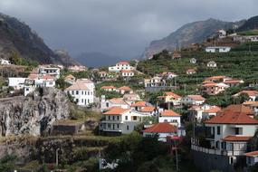 Madeira Town House