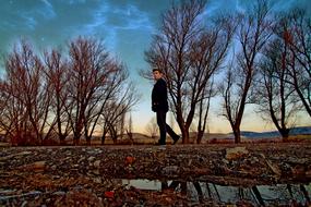 Tree Nature Wood-Fibre Boards