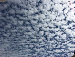 Wool Pattern Desktop