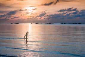 Water Sunset Dawn