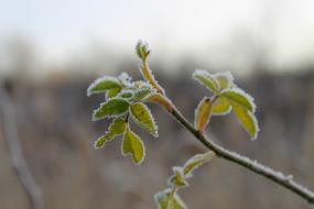 Autumn Nature Recreation Area