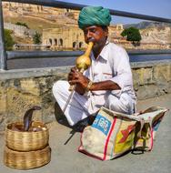 Snake Charmer