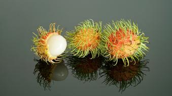 a prickly nut on the table