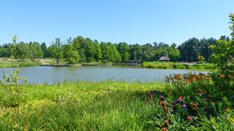 Nature Waters Landscape
