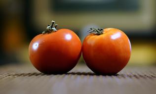 delicious red tomatoes