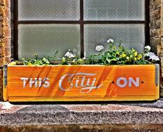 London Window Flower