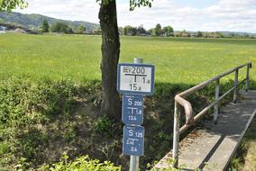 Nature Landscape Grass