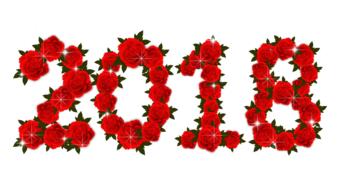 roses flowers red collage design