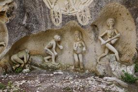 Nature Fauna Evolution