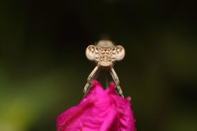 Nature Outdoors No One