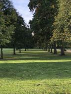 Trees Grass Nature