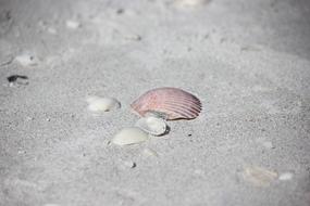 Sand Beach Seashore