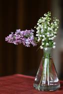 Thrush Lilac Bouquet