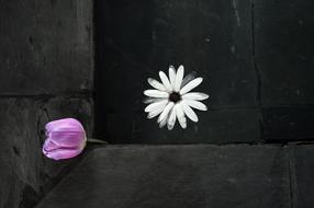 Flower Decoration Fountain