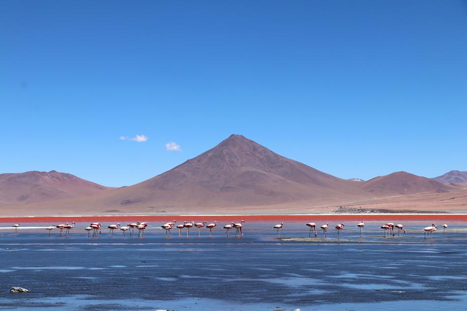 Bolivia Vacations Road Trip