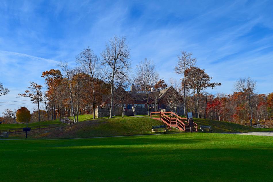 Park Landscape Grass