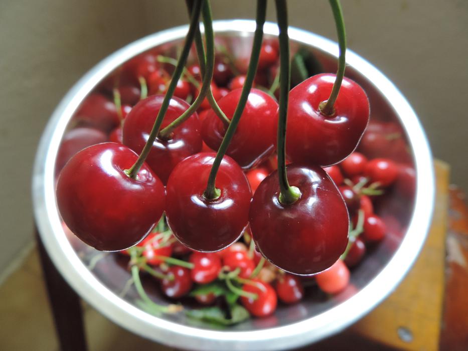 fresh tasty cherries