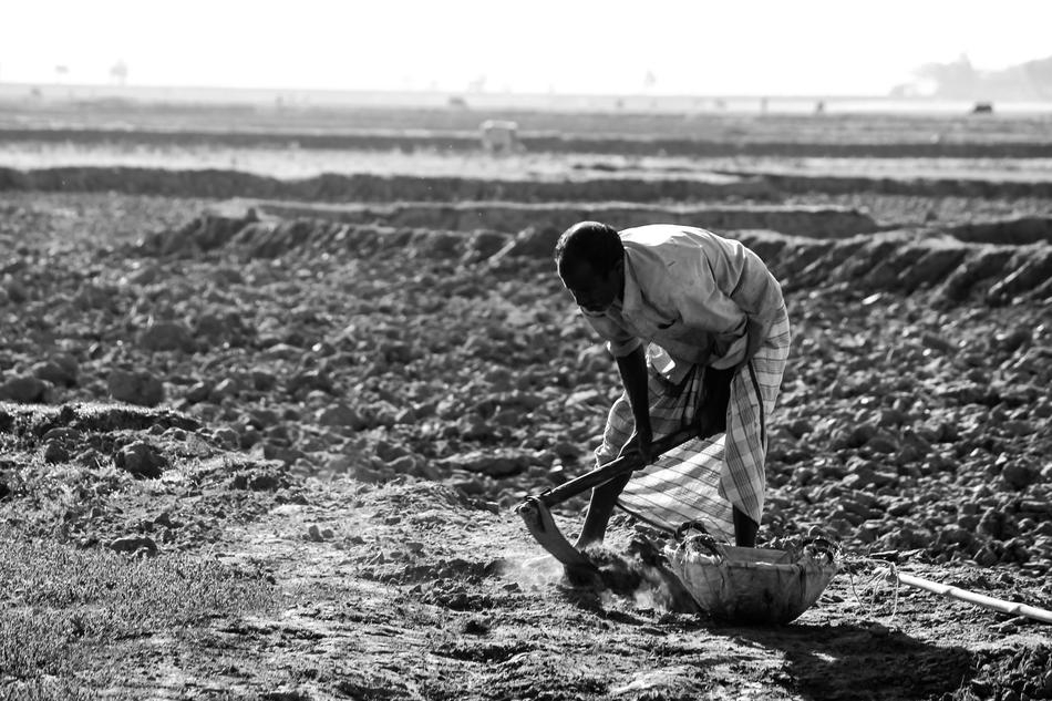 black and white, man with tool in arable field