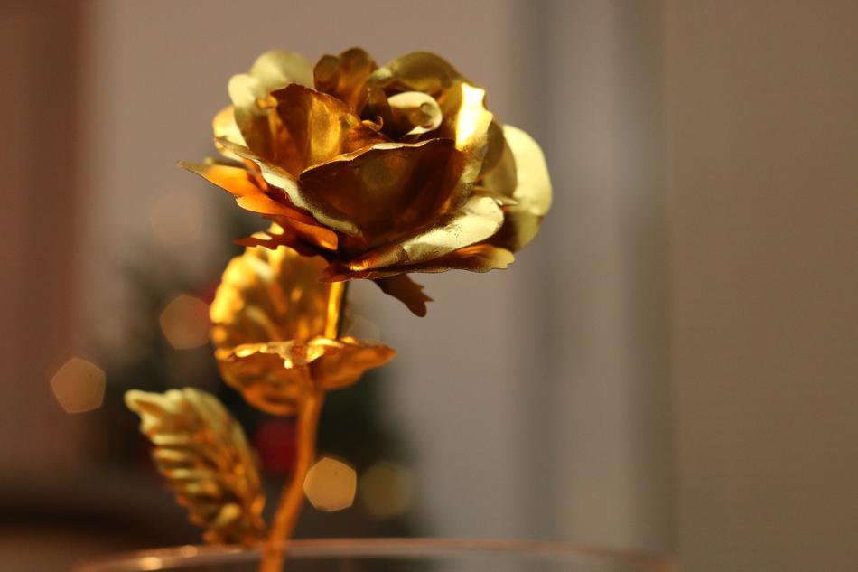 Nature Flower