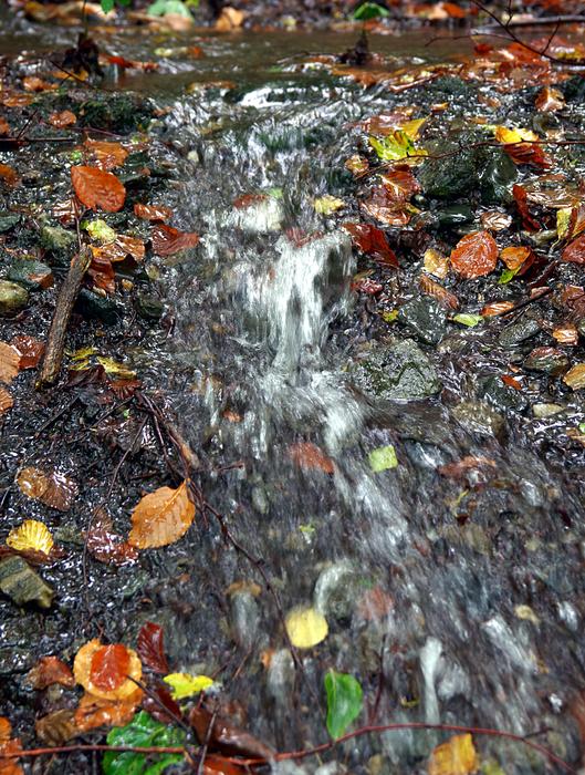 Stream Torrent Mountain