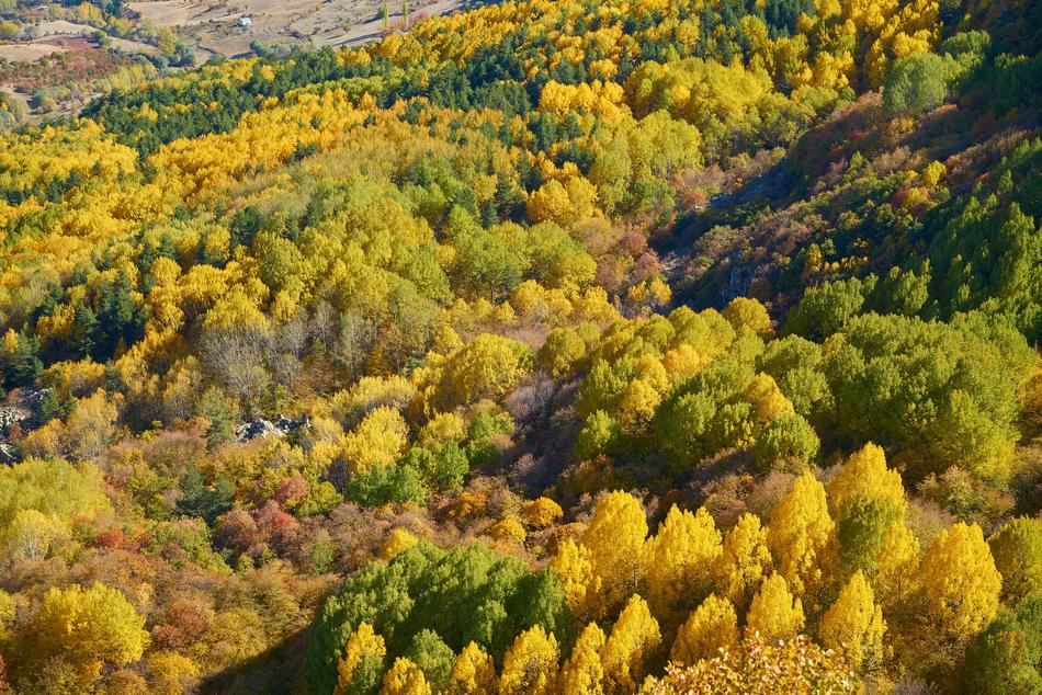 Autumn Season Landscape
