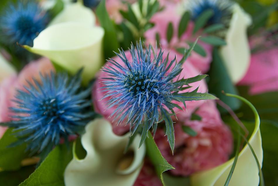 Flower Thistles Lys