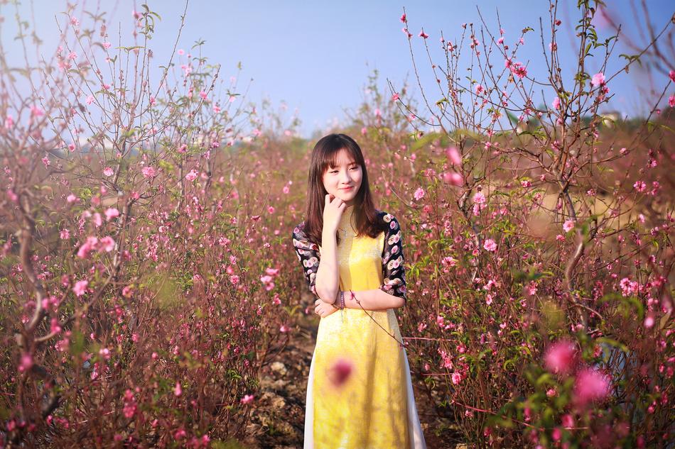 Flower Nature Tree